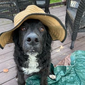 Meet your Posher, Katelyn